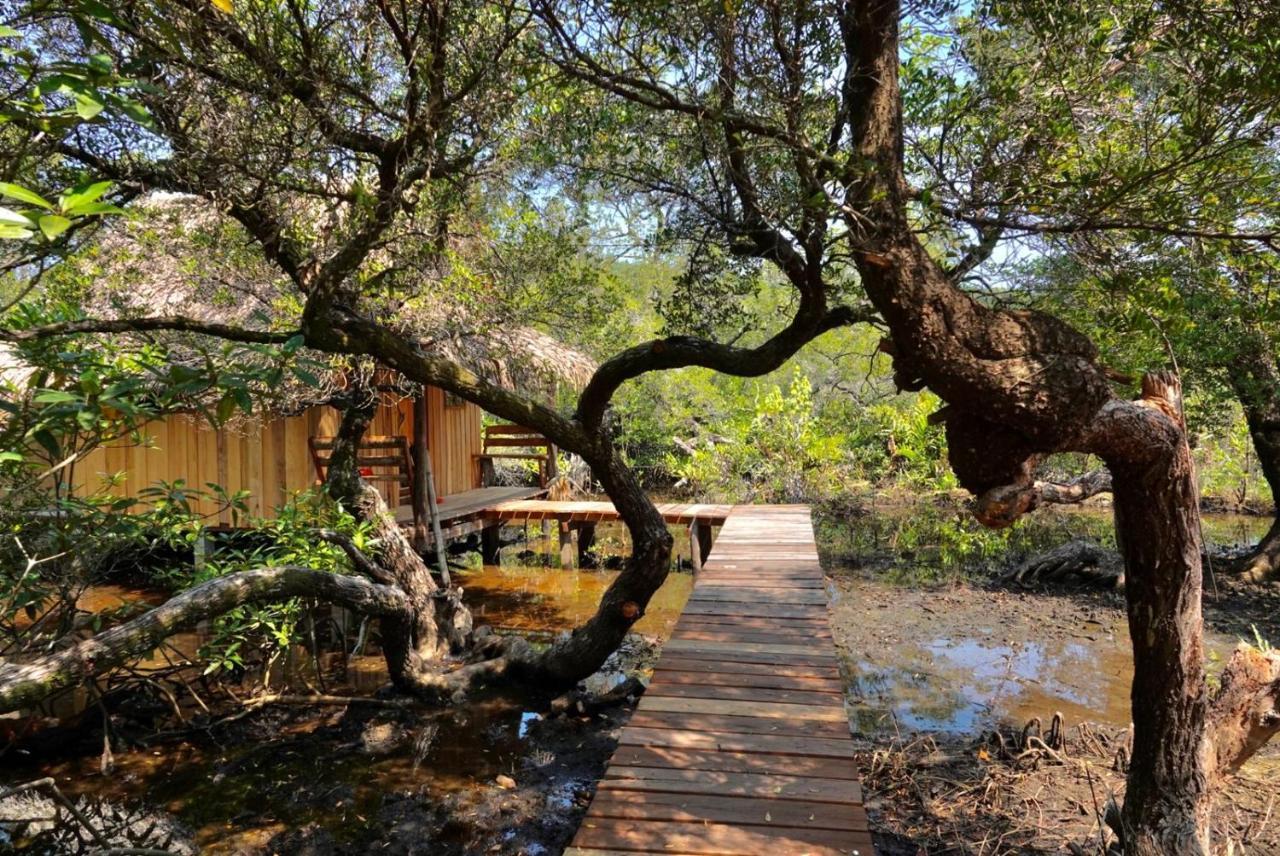 Lily'S Riverhouse Prek Svay Village Ngoại thất bức ảnh