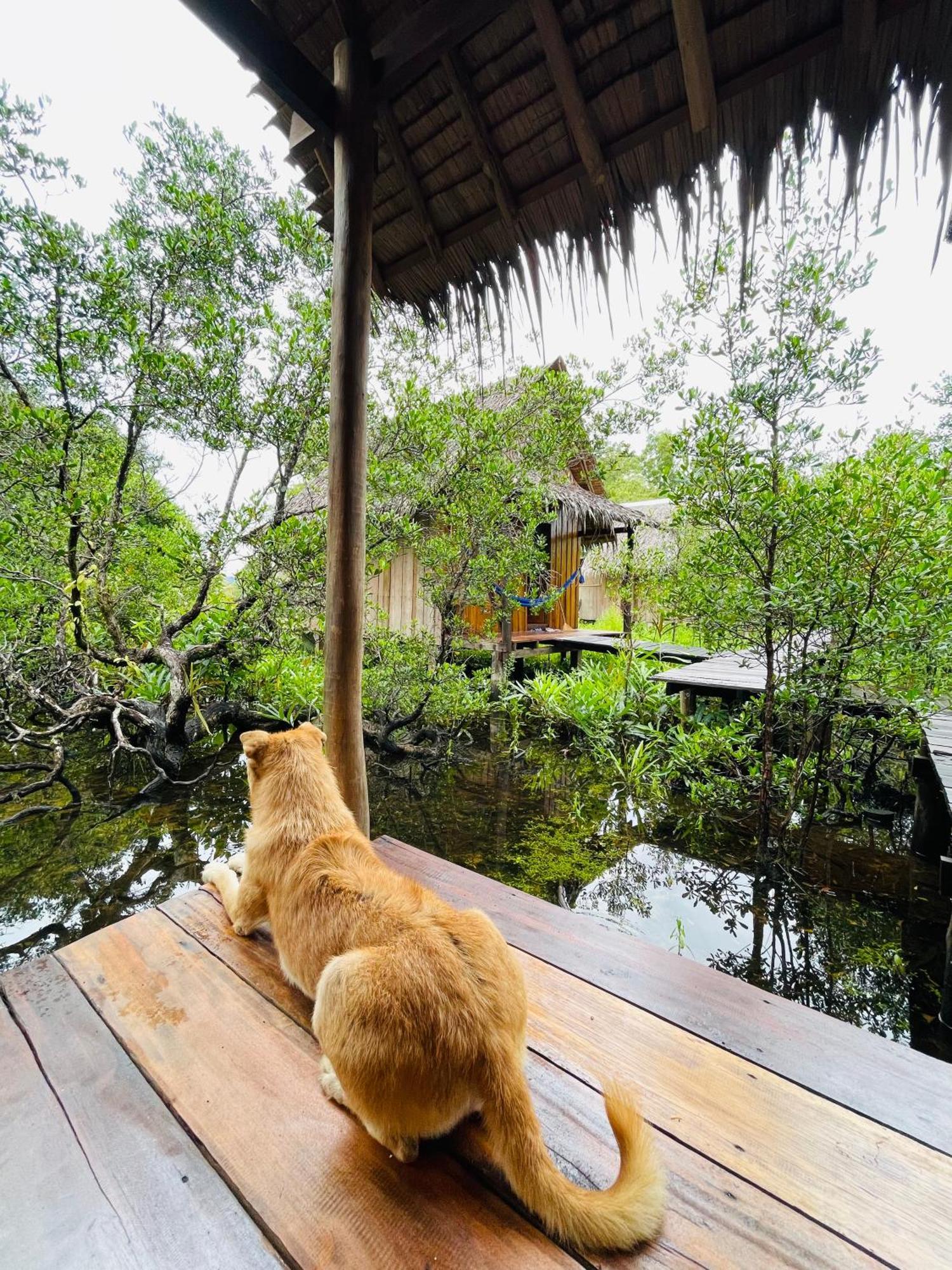 Lily'S Riverhouse Prek Svay Village Ngoại thất bức ảnh