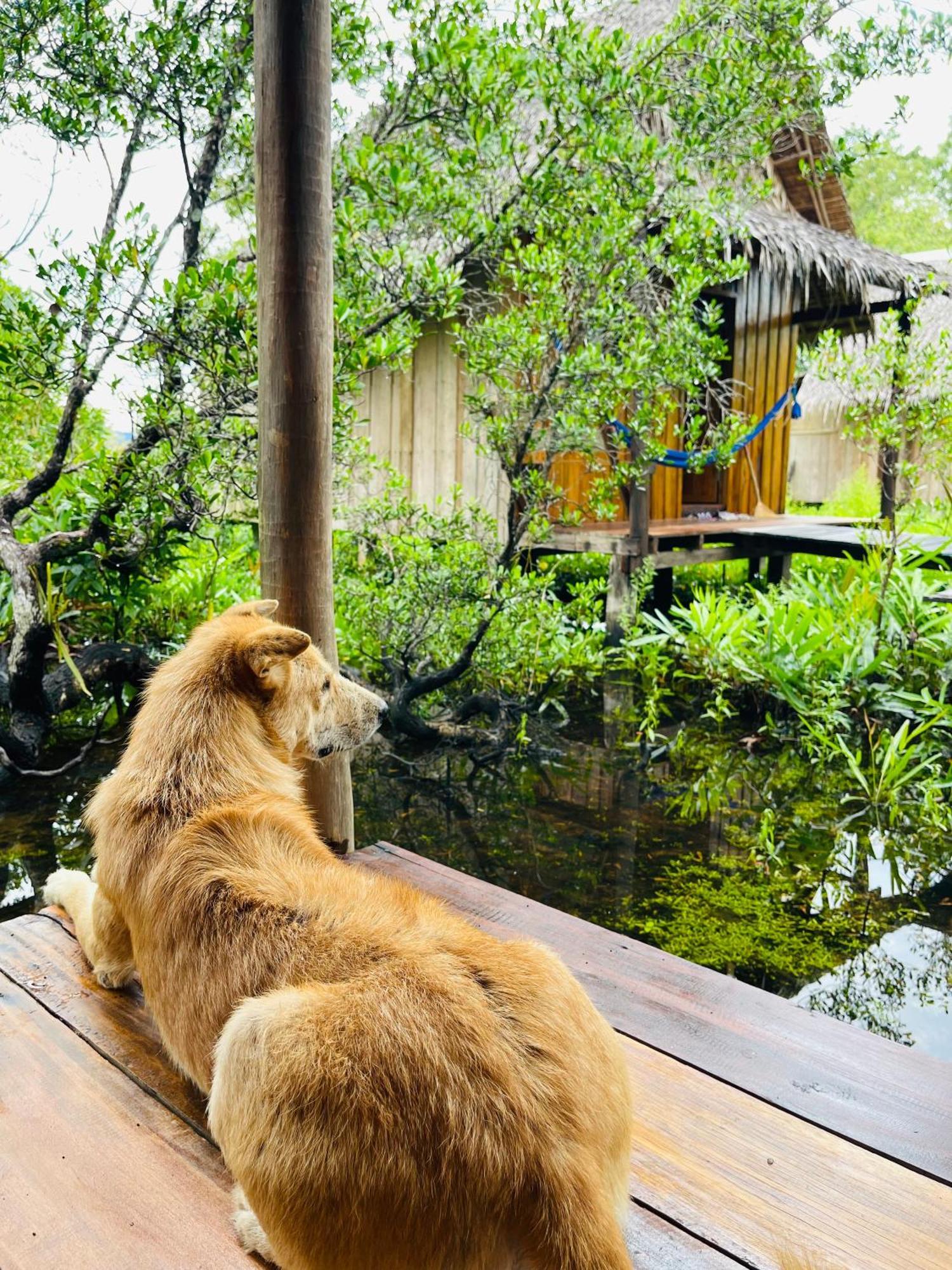 Lily'S Riverhouse Prek Svay Village Ngoại thất bức ảnh